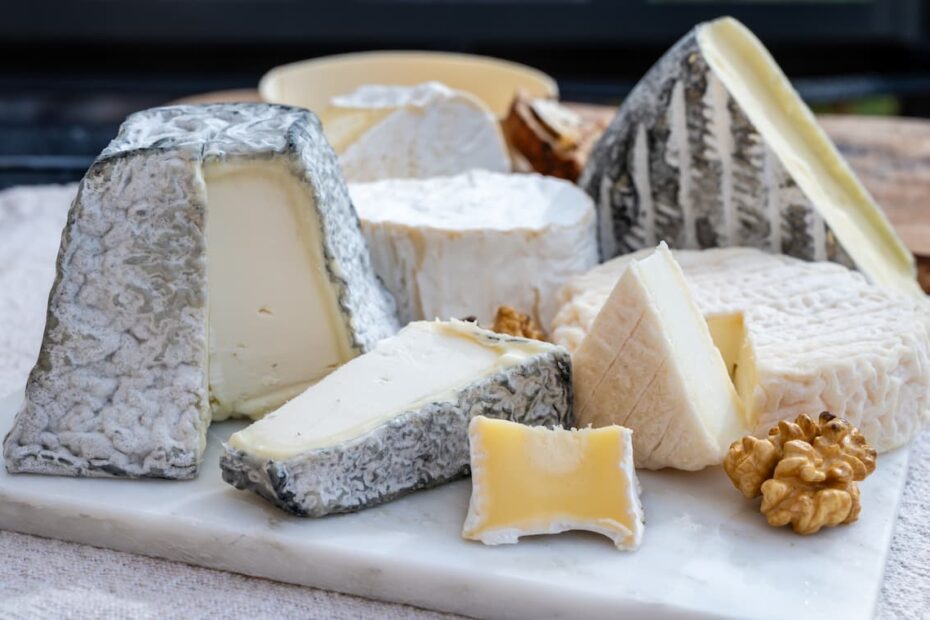 dégustation chèvre